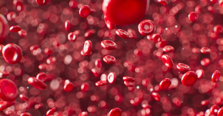 IRON DEFFIECENY, ANEMIA