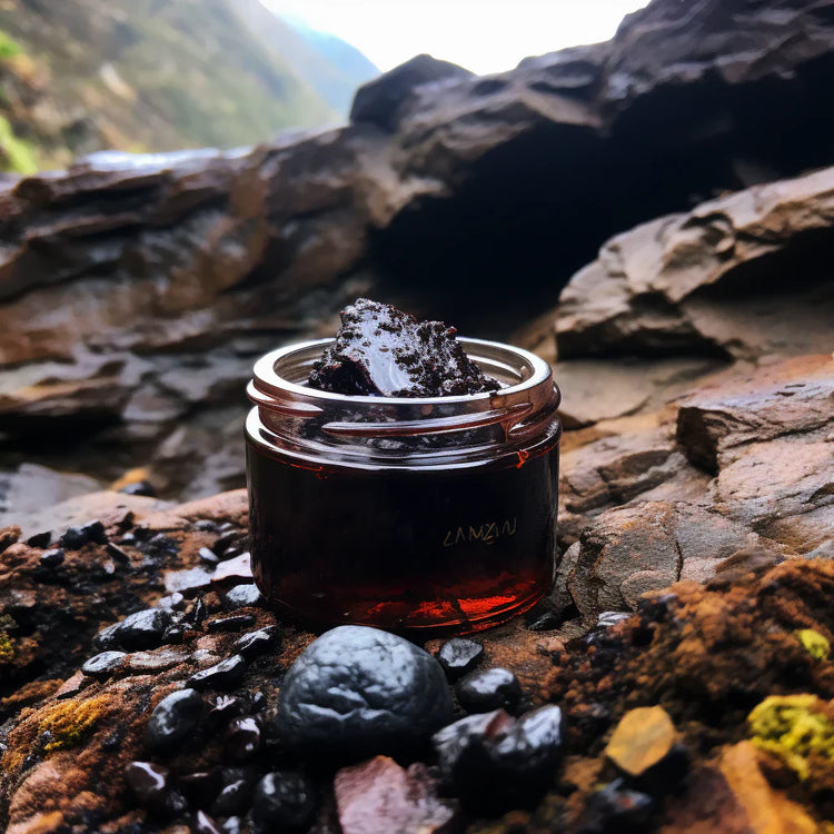 SHILAJIT